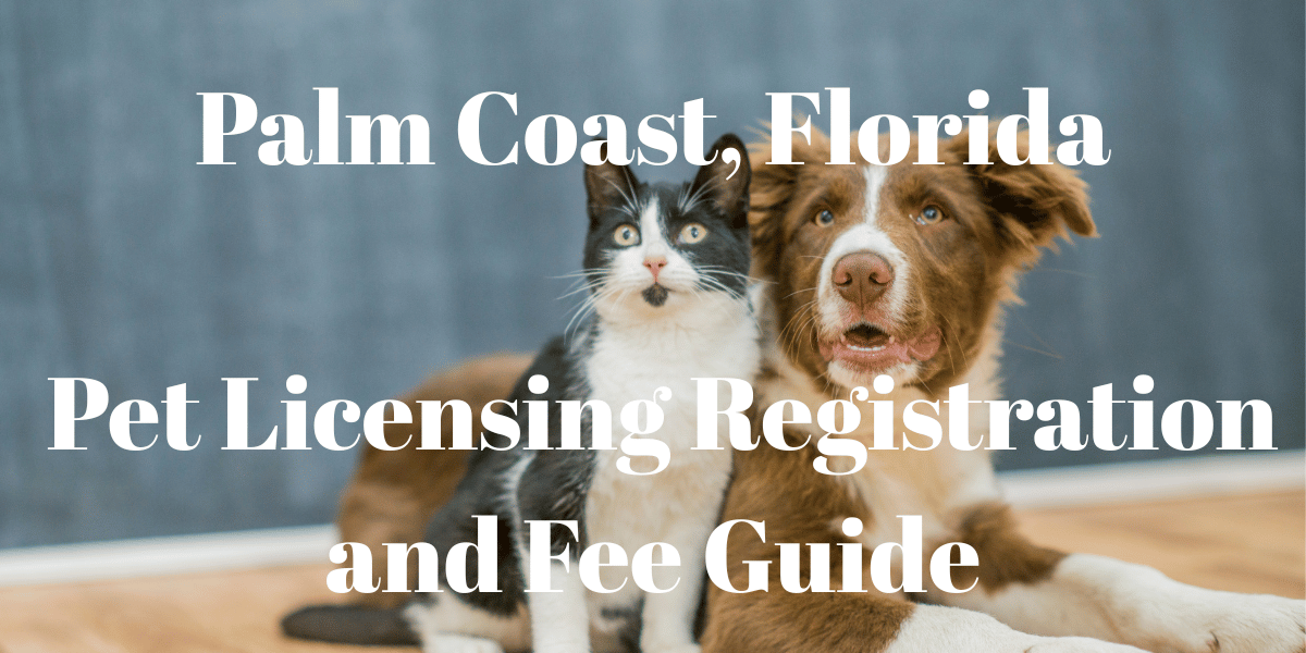 Dog and Cat with title Palm Coast Pet Licensing Registration and Guide