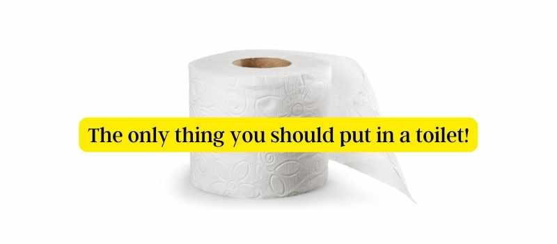 Only flush toilet paper