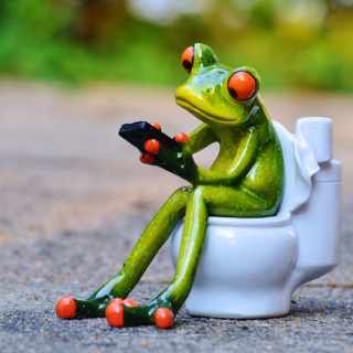 Find A Palm Coast Plumber for a Wobbly Toilet Licensed Palm Coast Local Plumber